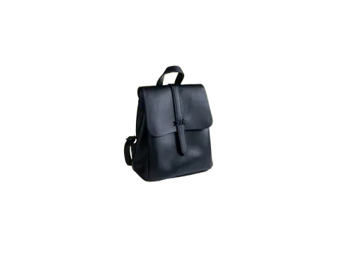 The black backpack with its yellow background removed
